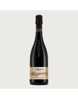 Lambrusco Emilia IGT Secco