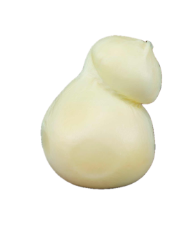 Scamorza Branca