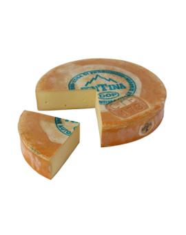 Queijo Fontina